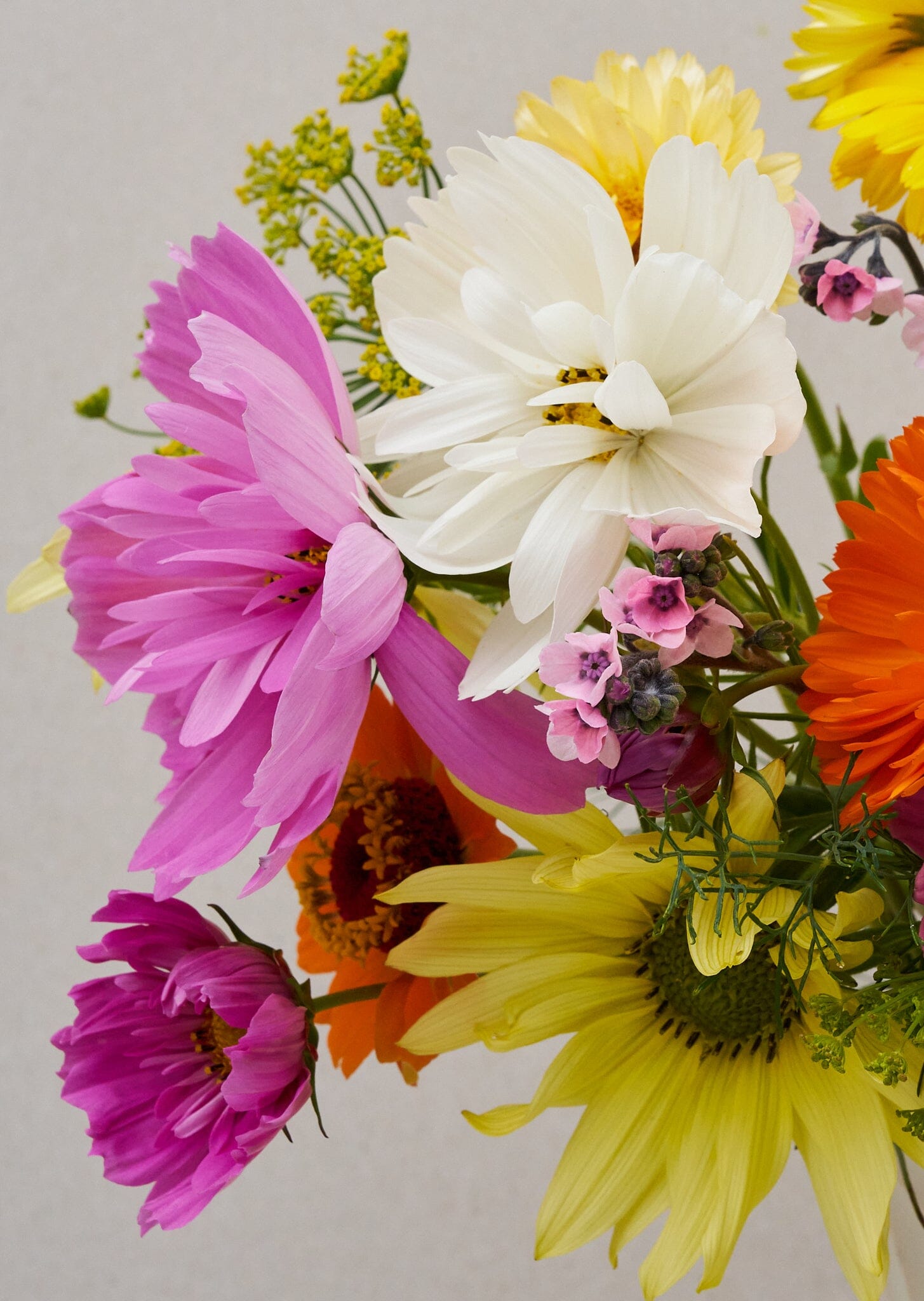 VIMMERBY buket (børnebuketten) Seed 