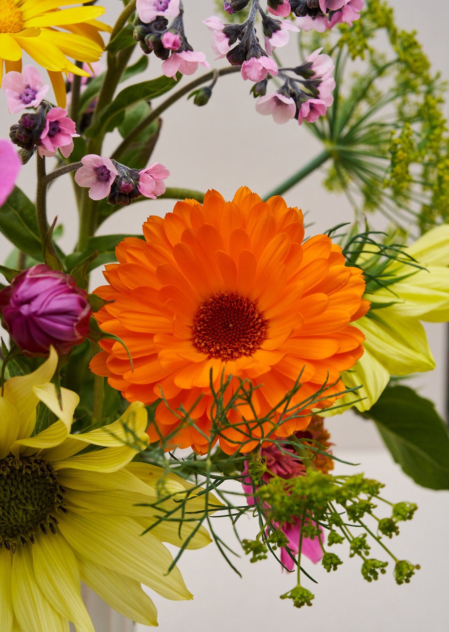 VIMMERBY buket (børnebuketten) Seed 