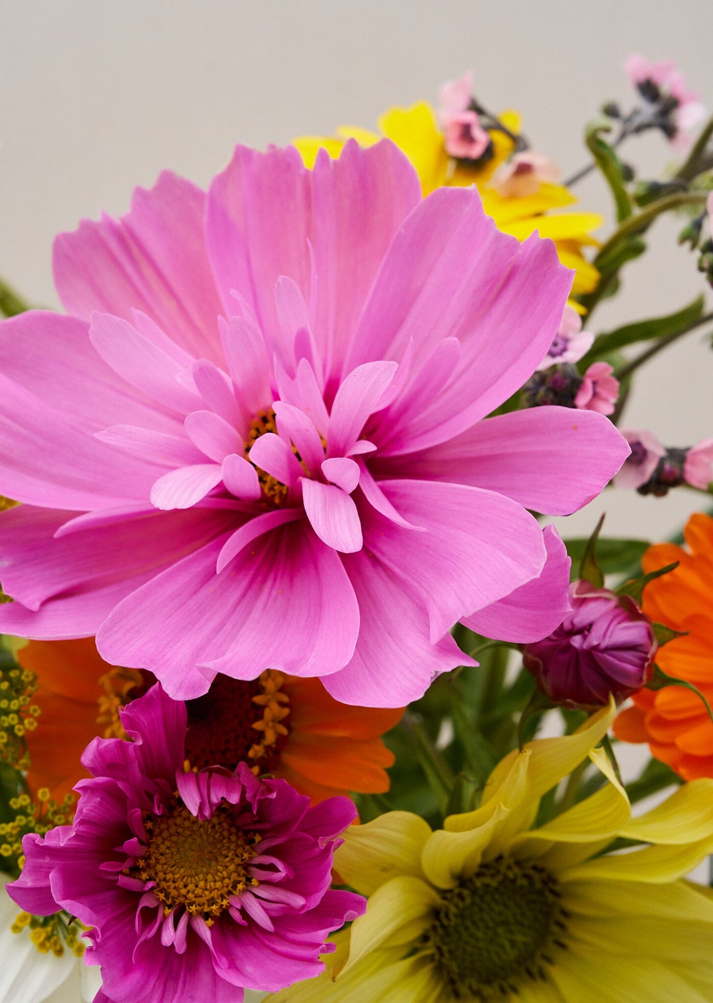 VIMMERBY buket (børnebuketten) Seed 