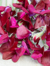 Indlæs billede til gallerivisning Ærteblomst &#39;Royal Maroon&#39; Seed 
