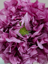 Indlæs billede til gallerivisning Opiumvalmue &#39;Purple Peony&#39; Seed 
