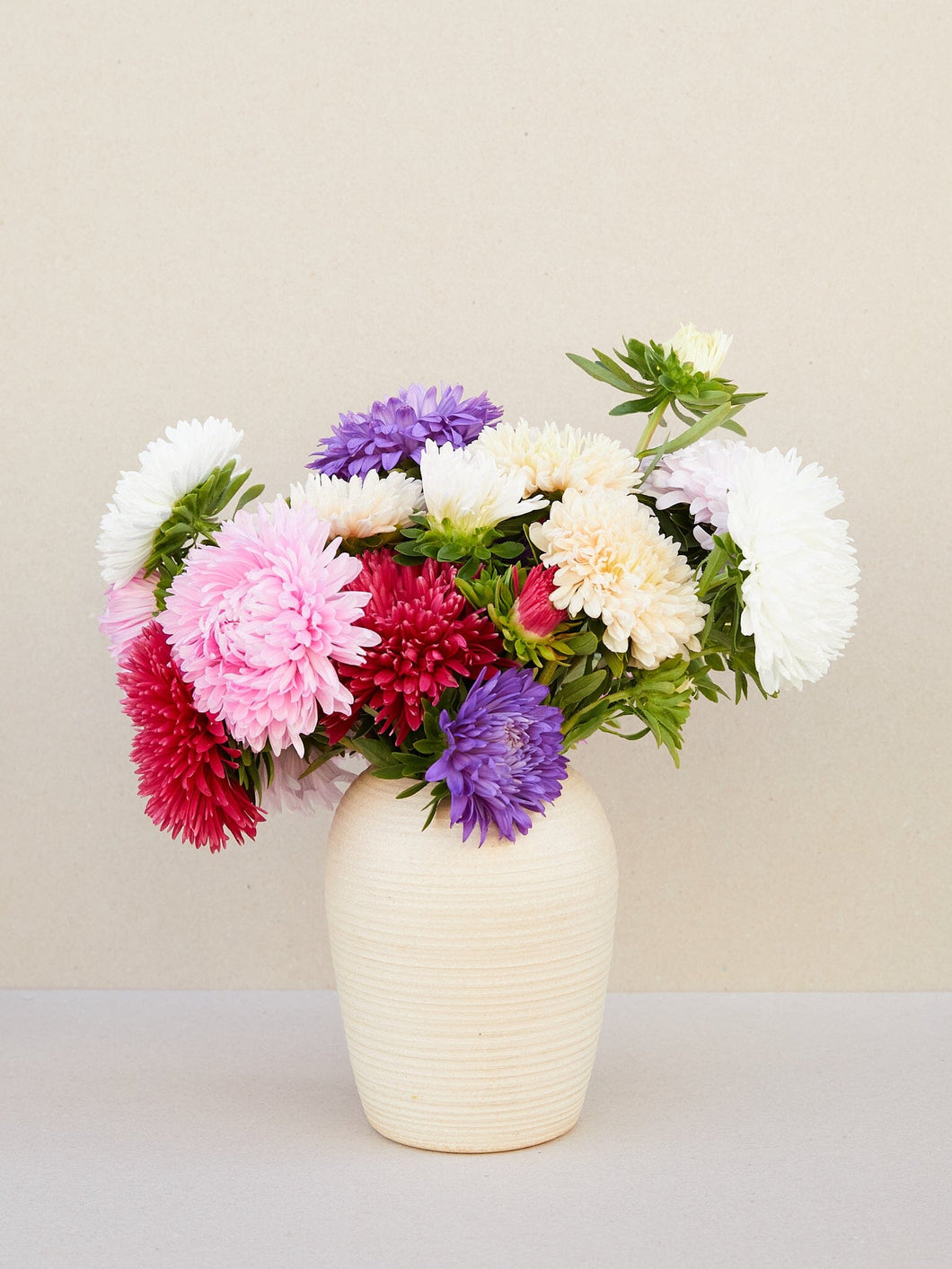 Sommerasters 'Miks' Seed 